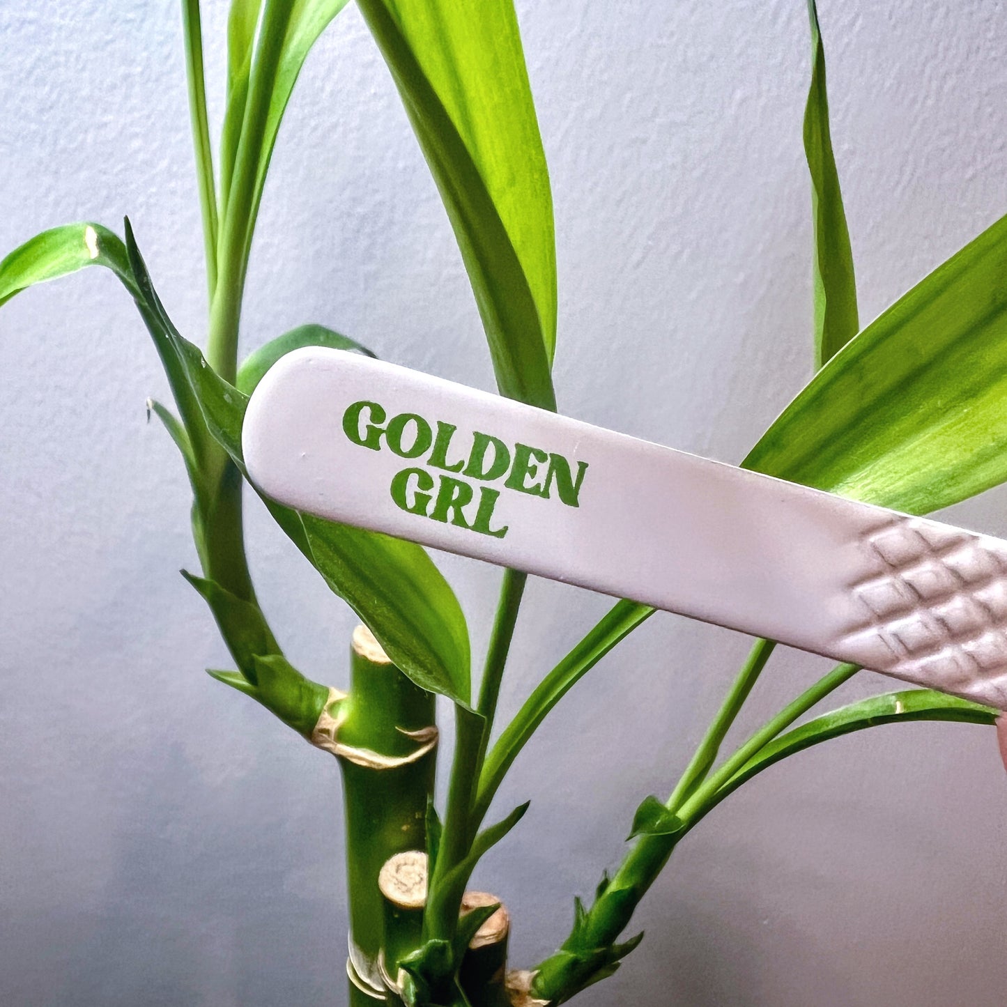 GOLDEN GRL VOLUME TWEEZER